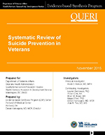 Systematic Review of Suicide Prevention in Veterans