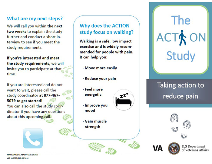 The Action Study