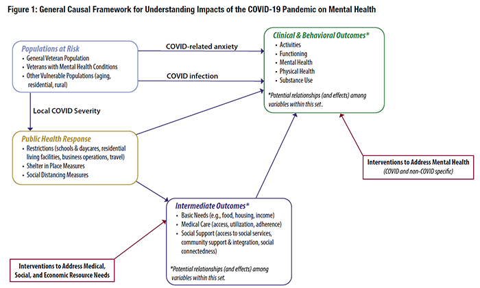 Figure 1: General Causal Framework for Understanding Impacts of the COVID-19 Pandemic on Mental Health