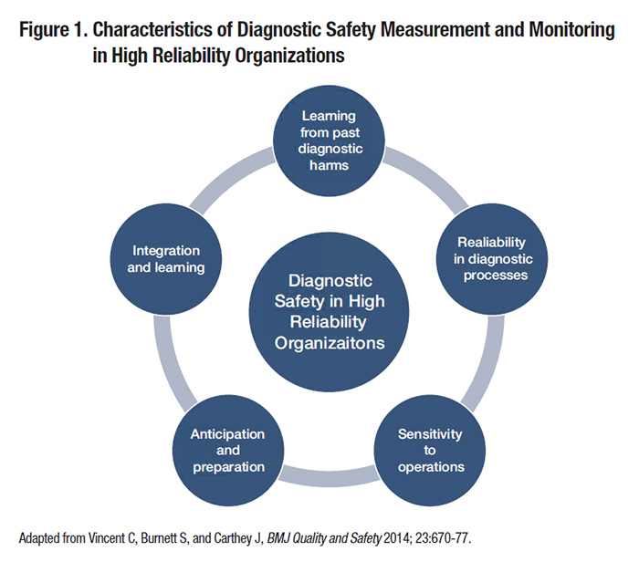 Characteristics of Diagnostic Safety Measurement and Monitoring
in High Reliability Organizations
